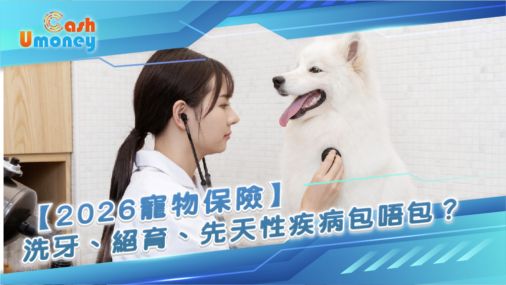 2026寵物保險, 寵物保險, 寵物保險邊間好, 貓保險, 狗保險, 寵物洗牙, 寵物絕育, 保險, 貓狗保險, 寵物醫療, 寵物貸款, 寵物應急錢, 醫療貸款, 應急貸款, 資金周轉, Umoney Cash私人貸款
